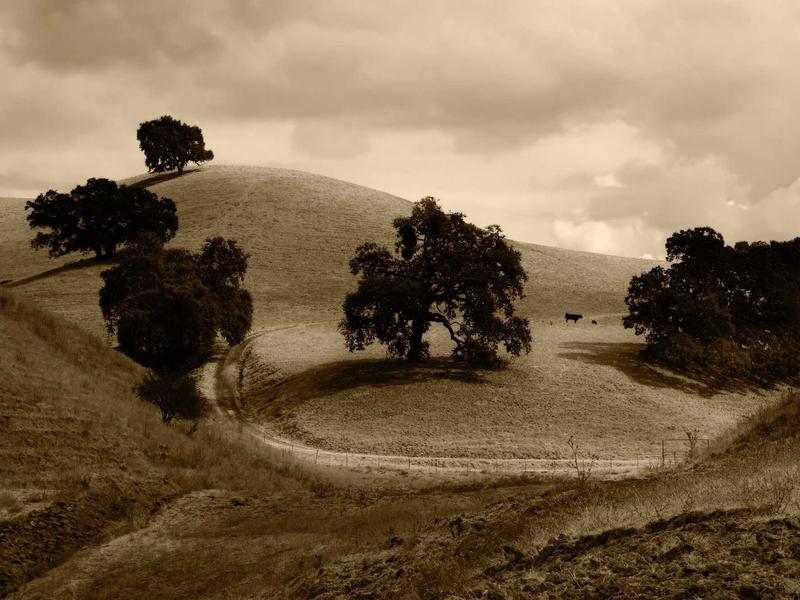 sudoku undo feature screenshot 4